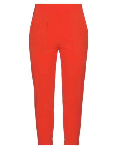 Rrd Pants In Orange