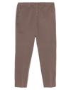 Peserico Pants In Cocoa