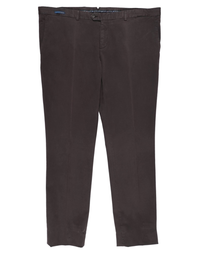 Paul & Shark Pants In Dark Brown