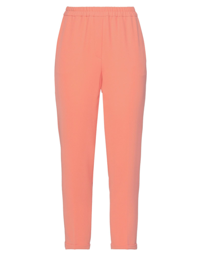 Antonelli Pants In Pink