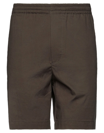 Mauro Grifoni Shorts & Bermuda Shorts In Military Green