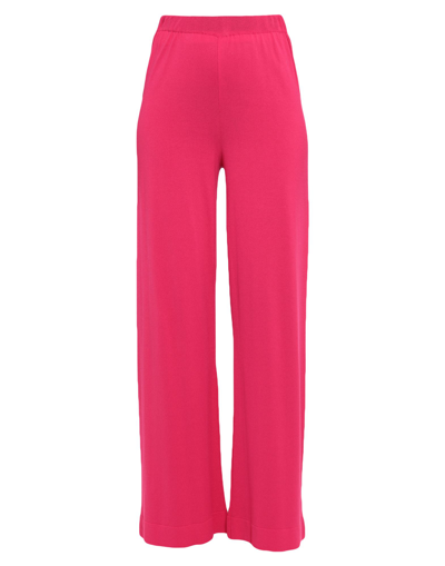 Soallure Pants In Fuchsia