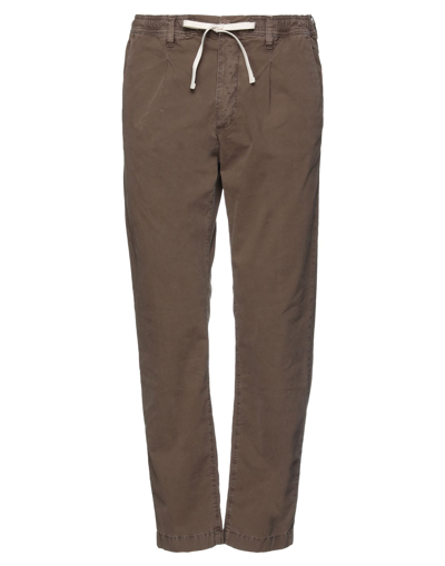 Modfitters Pants In Brown