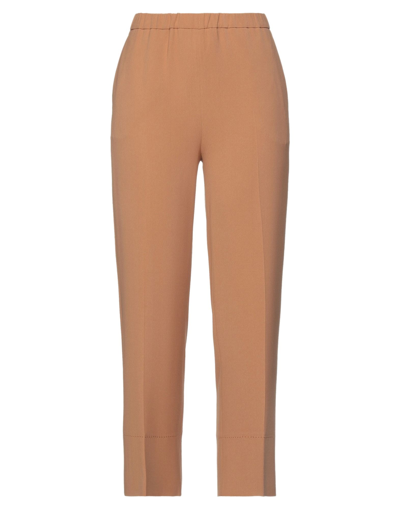 Antonelli Pants In Beige