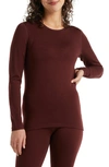 Icebreaker 260 Tech Long Sleeve Crewneck T-shirt In Espresso