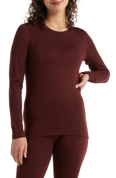 Icebreaker 260 Tech Long Sleeve Crewneck T-shirt In Espresso