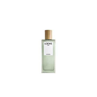 Loewe Aire Sutileza Edt 100ml In Green