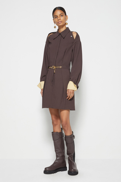 Fall/winter 2021 Ready-to-wear Larissa Mini Dress In Chocolate,honey