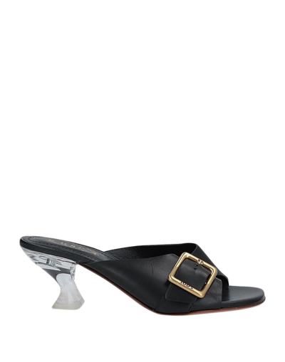 Tod's Sandals In Black