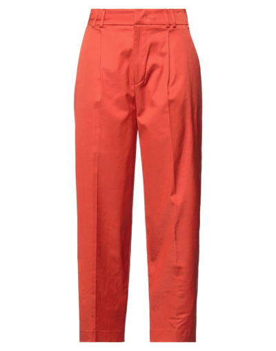 Pt Torino Pants In Orange