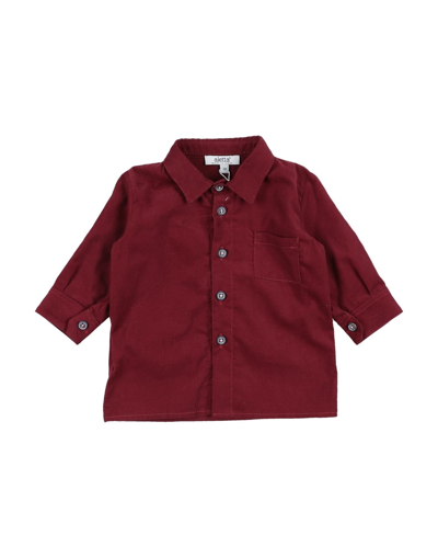 Aletta Kids' Shirts In Red