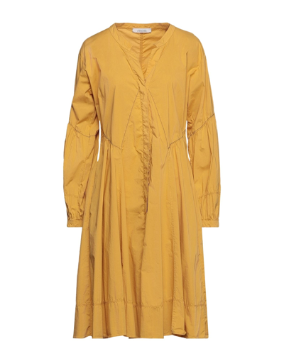 Dorothee Schumacher Woman Midi Dress Ocher Size 3 Cotton, Elastane In Yellow