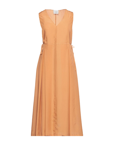 Alysi Midi Dresses In Apricot