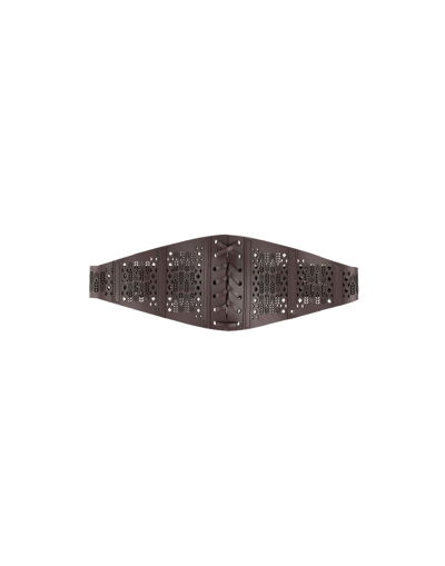 Elisabetta Franchi Belts In Cocoa