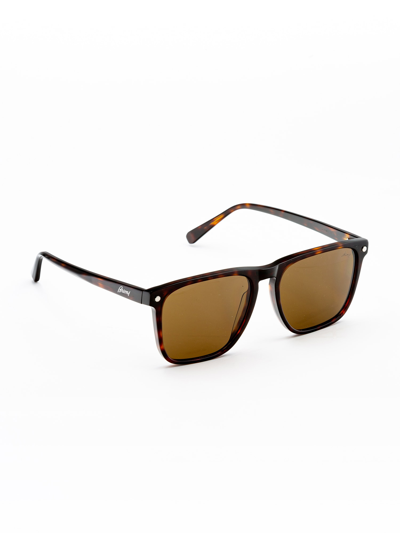 Brioni Br0086s Sunglasses In Havana Havana Brown