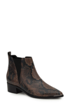 Marc Fisher Ltd Yale Chelsea Boot In Arrojo/ Black