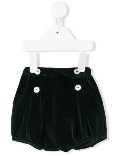 Siola Babies' Button-detail Velvet Shorts In 绿色