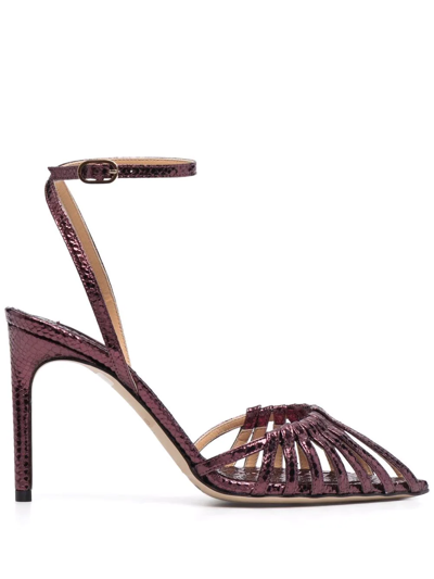 Giannico Cage-strap Leather Sandals In 紫色