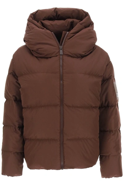 Bacon Logo-patch Feather-down Padded Puffer Jacket In Brown