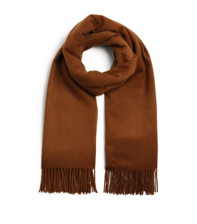 Max Mara Brown Cashmere Baci Scarf In 009 Tobacco