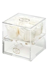 Venus Et Fleur Le Clair Cinq Eternity Roses In Pure White