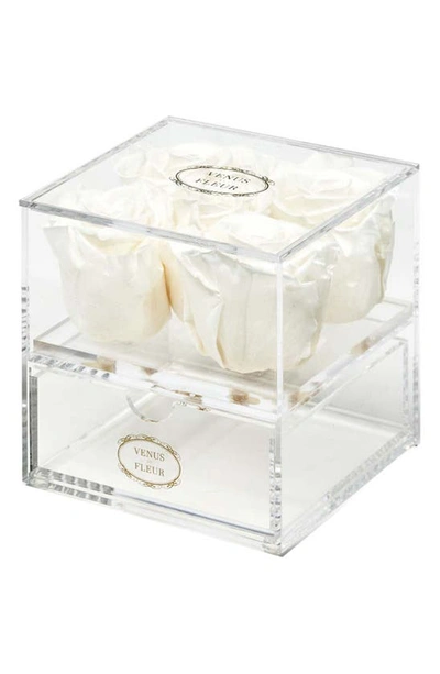 Venus Et Fleur Le Clair Cinq Eternity Roses In Pure White