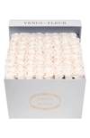 Venus Et Fleur Classic Large Eternity Roses In Blush