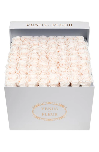 Venus Et Fleur Classic Large Eternity Roses In Blush