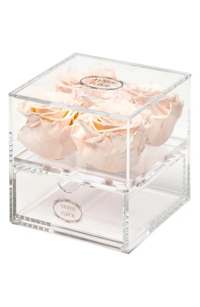 Venus Et Fleur Le Clair Cinq Eternity Roses In Blush