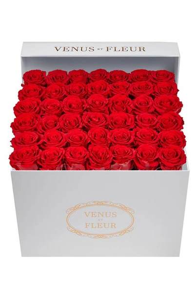 Venus Et Fleur Classic Large Eternity Roses In Red