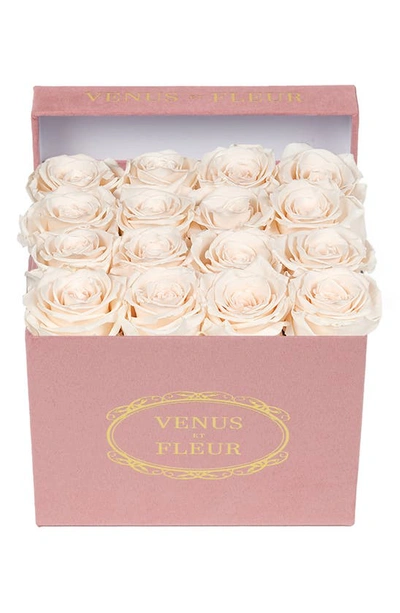 Venus Et Fleur Classic Small Square Eternity Roses In Blush