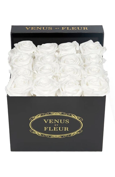 Venus Et Fleur Classic Small Square Eternity Roses In Pure White
