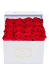 Venus Et Fleur Classic Small Square Eternity Roses In Red