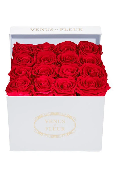 Venus Et Fleur Classic Small Square Eternity Roses In Red