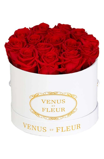 Venus Et Fleur Classic Small Round Eternity Roses In Red