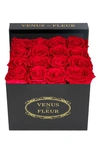 Venus Et Fleur Classic Small Square Eternity Roses In Red