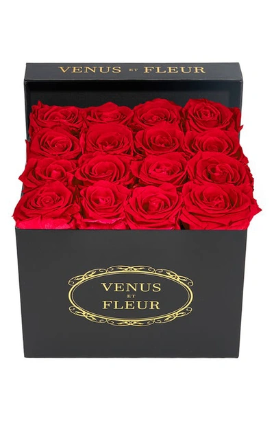 Venus Et Fleur Classic Small Square Eternity Roses In Red