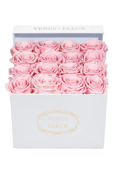 Venus Et Fleur Classic Small Square Eternity Roses In Pink