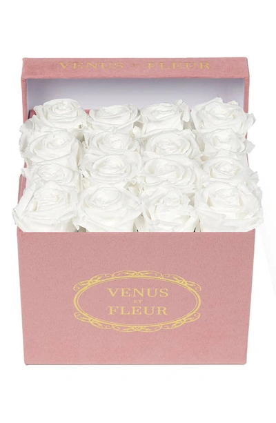 Venus Et Fleur Classic Small Square Eternity Roses In Pure White