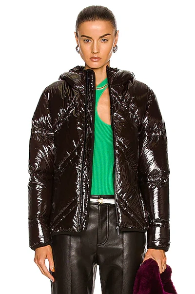 Bottega Veneta Shiny Nylon Chevron Puffer In Cocoa