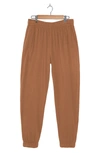 Fleece Factory Fleece Pants In Rust