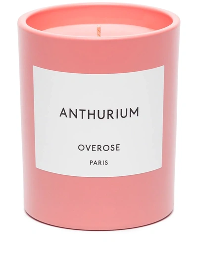 Overose Anthurium Scented Candle (240g) In Rosa
