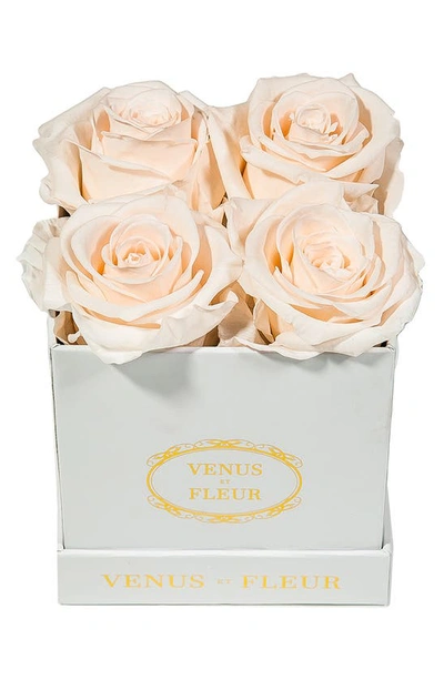 Venus Et Fleur Classic Le Petit Eternity Roses In Blush