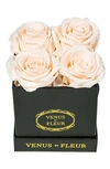 Venus Et Fleur Classic Le Petit Eternity Roses In Blush