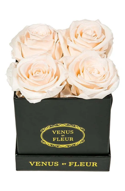 Venus Et Fleur Classic Le Petit Eternity Roses In Blush