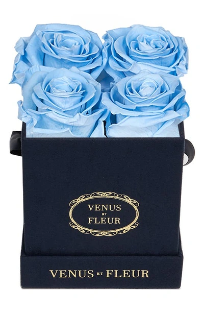 Venus Et Fleur Classic Le Petit Eternity Roses In Baby Blue