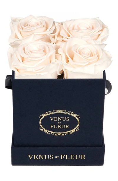 Venus Et Fleur Classic Le Petit Eternity Roses In Blush