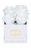 Venus Et Fleur Classic Le Petit Eternity Roses In Pure White
