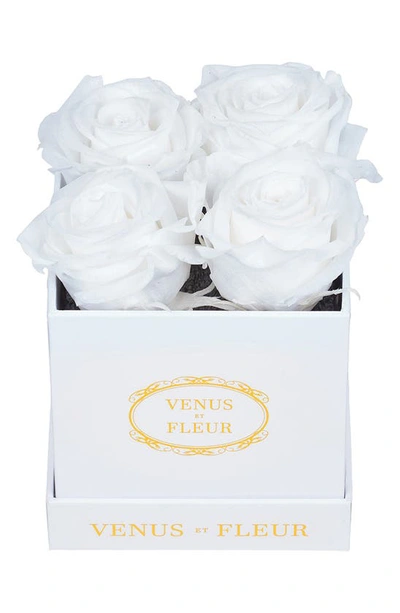 Venus Et Fleur Classic Le Petit Eternity Roses In Pure White