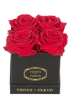 Venus Et Fleur Classic Le Petit Eternity Roses In Red